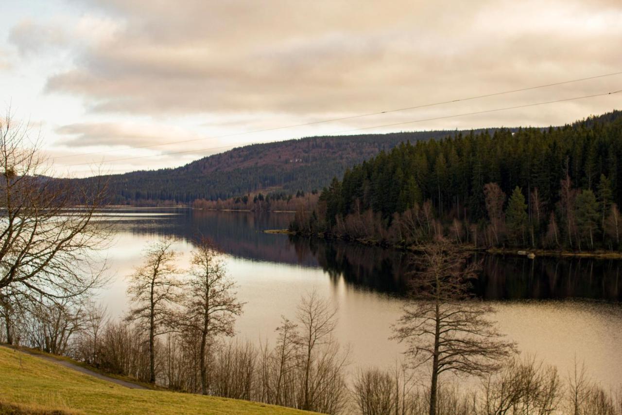 Gemuetliche Ferienwohnung - Mitten Im Schwarzwald Bernau im Schwarzwald Exterior foto